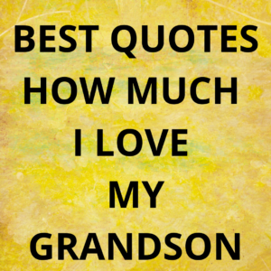 100+ BEST GRANDSON QUOTES - Grandparents adore Grandchildren